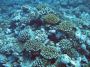 06Moorea - 012
